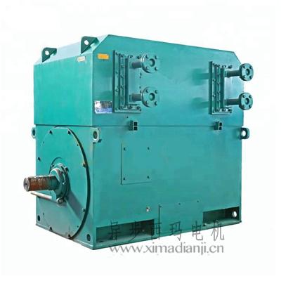 1608799718765074.jpg best-quality-chinese-6-6kv-AC-motor (3).jpg