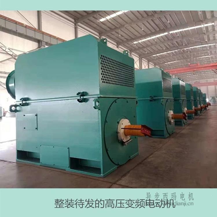 1612517221754384.jpg JPEG.jpg