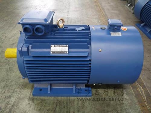 1642213817274853.jpg YVP.jpg